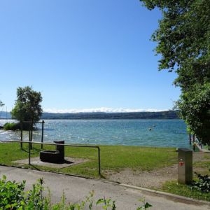 Plage de Corcelettes les pins